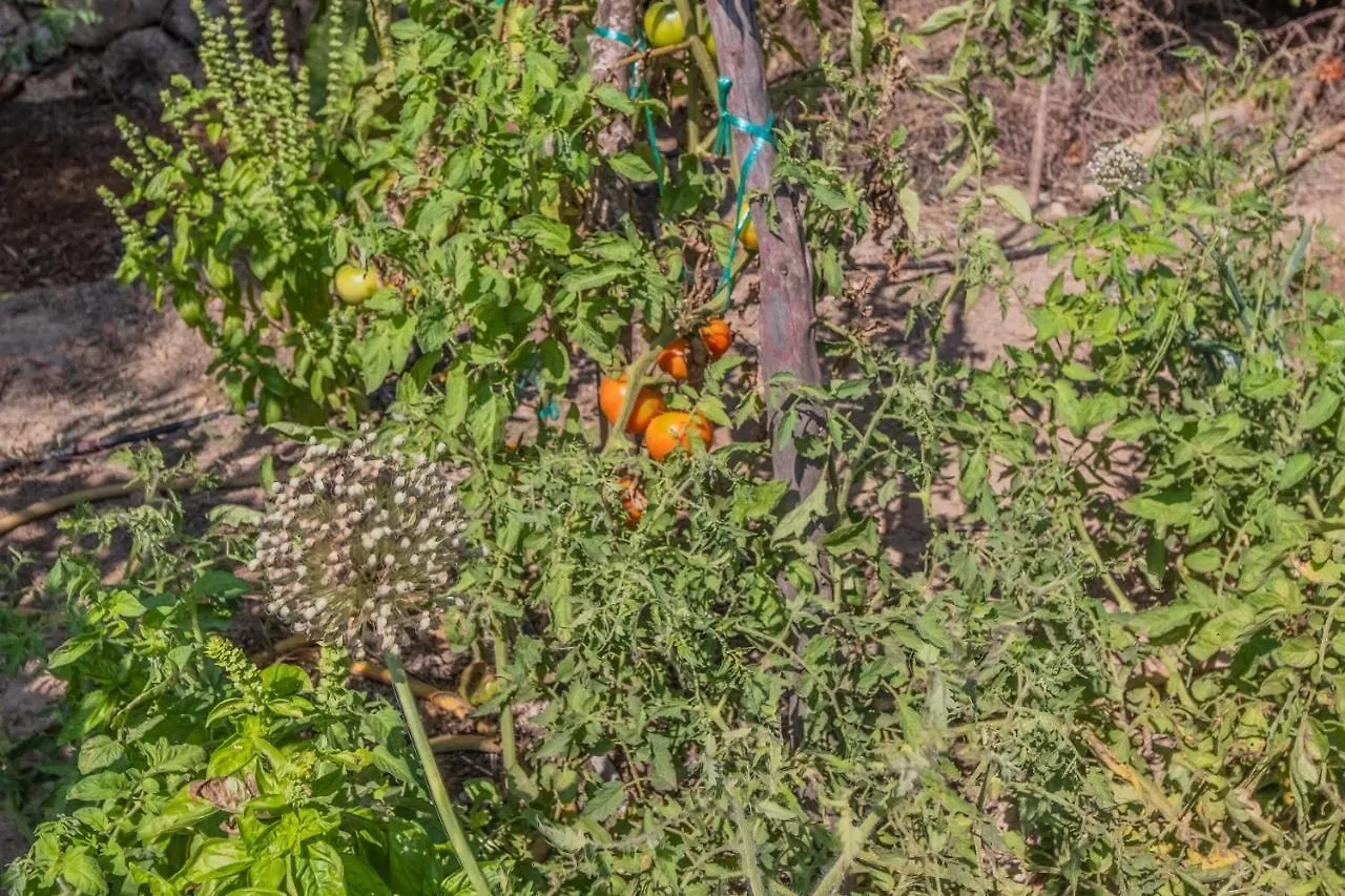 Prázdninový dům Finca Can Llorenc By Mallorca Villa Selection Cala Romantica  Španělsko