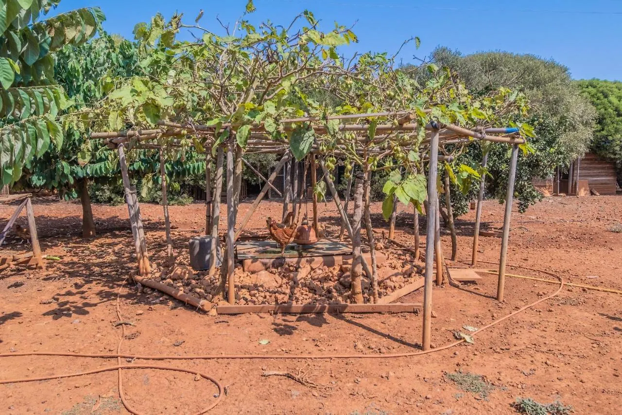 Finca Can Llorenc By Mallorca Villa Selection Cala Romantica  Cala Romantica (Mallorca)