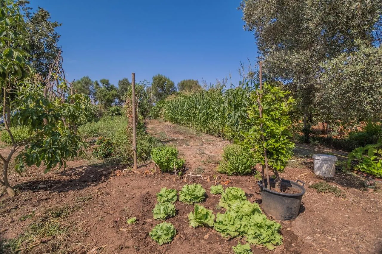 Finca Can Llorenc By Mallorca Villa Selection Cala Romantica